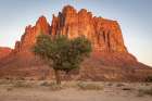 Saudi Arabia, Tabuk, Al-Disah. Desert Prince Mohammed bin Salman Natural Reserve. Art Print
